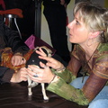 Filmplattform 009 2069-Q PR